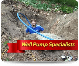 Specialists